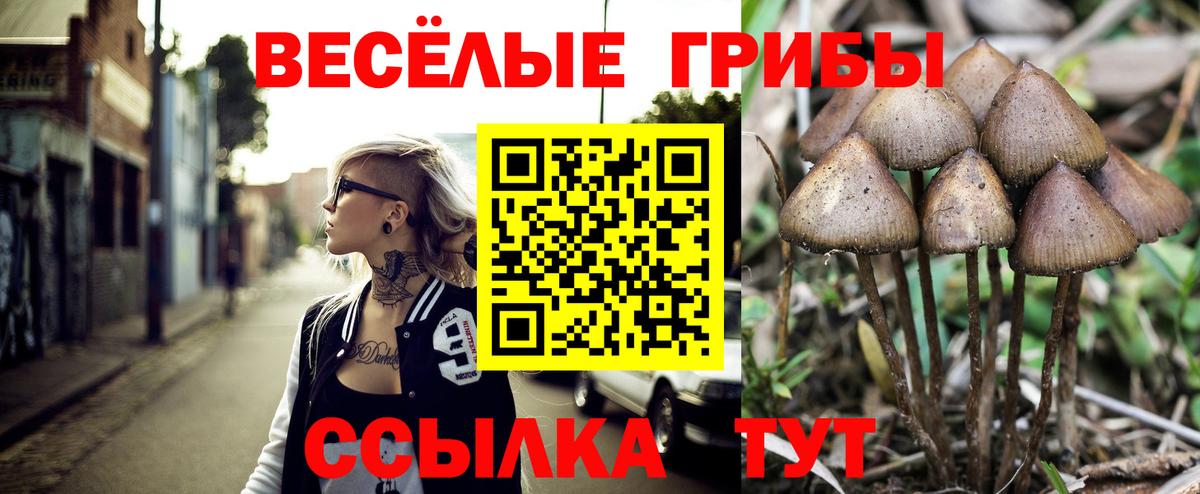 Рыбинск  Галлюциногенные грибы ЛСД  Вход с VPN  Галлюциногенные грибы MAGIC MUSHROOMS 
