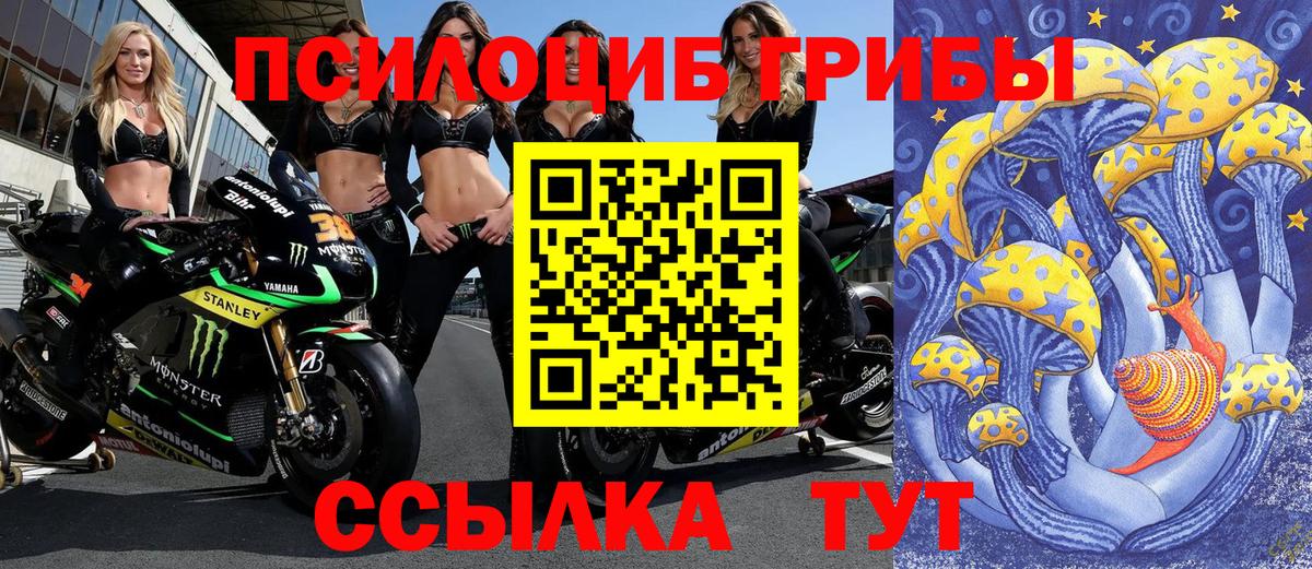 Галлюциногенные грибы мицелий Рыбинск